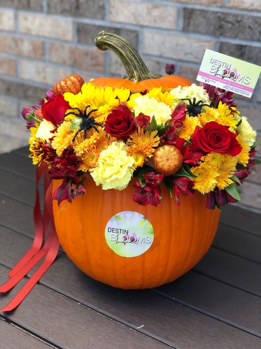 Blooming Pumpkin - Birthday flowers - in Destin, FL