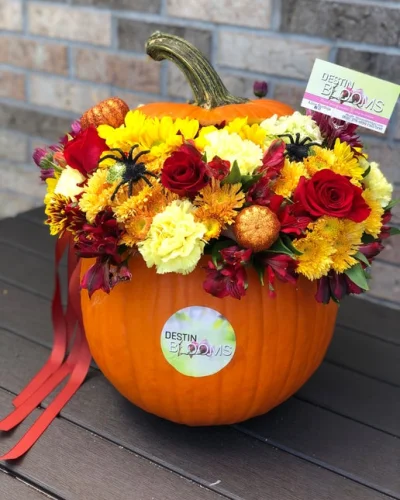 Blooming Pumpkin - Birthday flowers - in Destin, FL