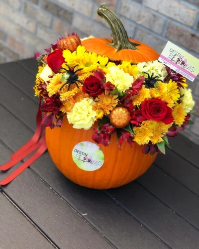 Blooming Pumpkin - Birthday flowers - in Destin, FL thumbnail 2